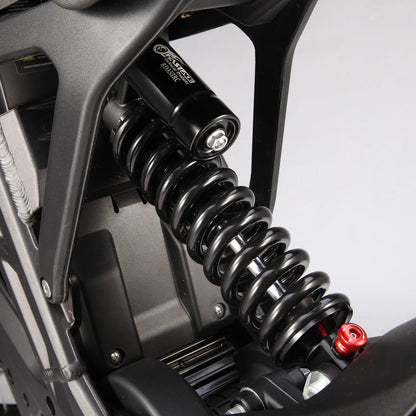 E-Ride Pro SR