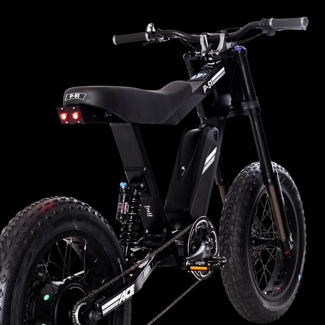 Ronster Rides Person P-51 ACE – Ronster Rides