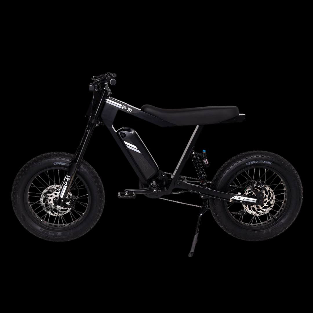 Ronster Rides Jet Tag P-51 ACE – Ronster Rides