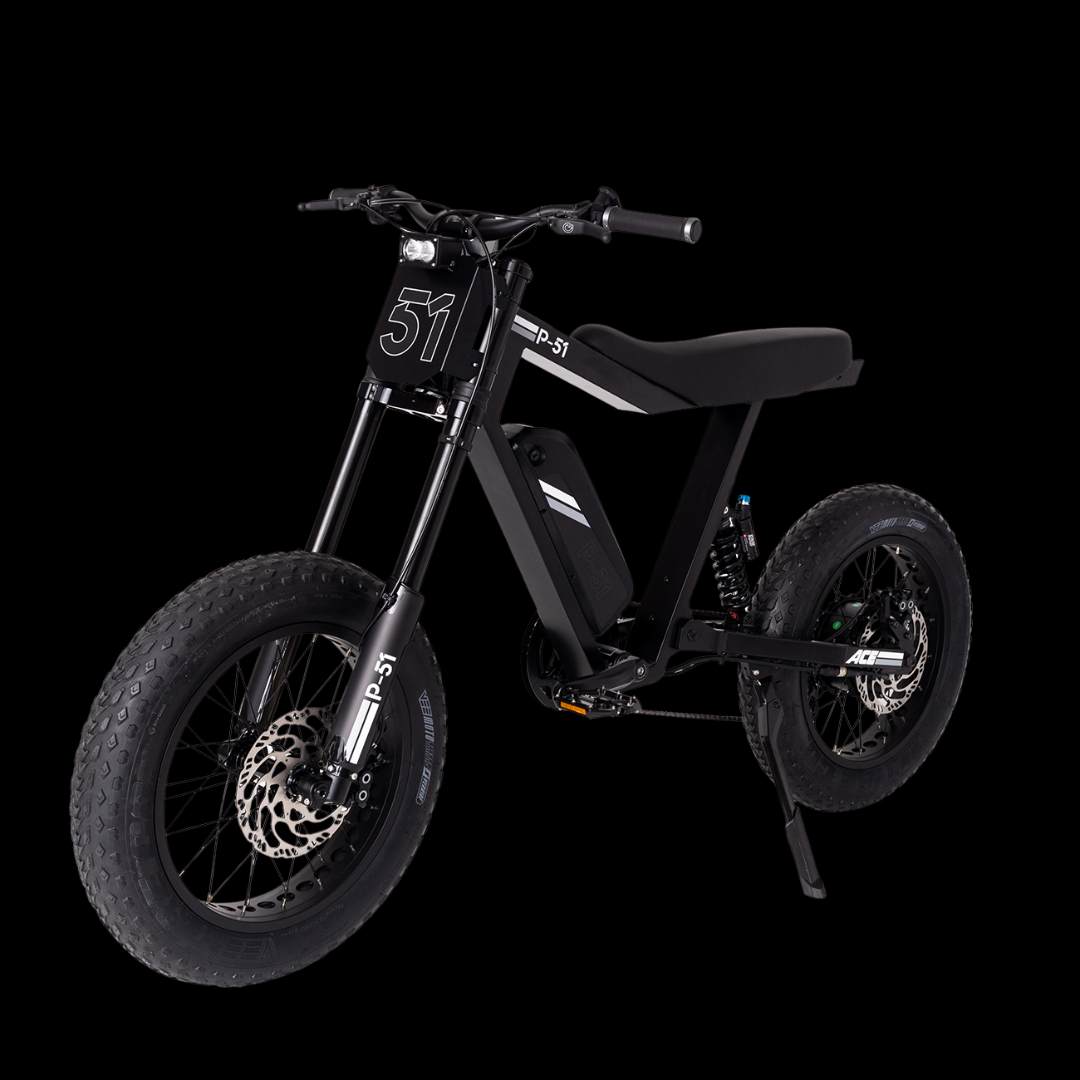 Ronster Rides Jet Tag P-51 ACE – Ronster Rides