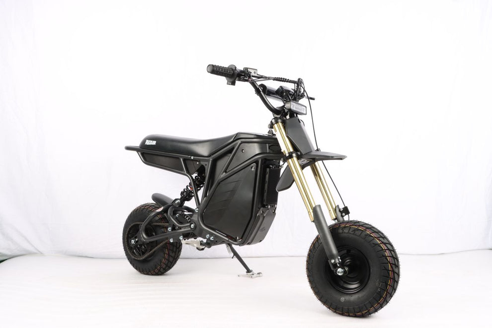 Electro & Co Rizzler Sport – Ronster Rides