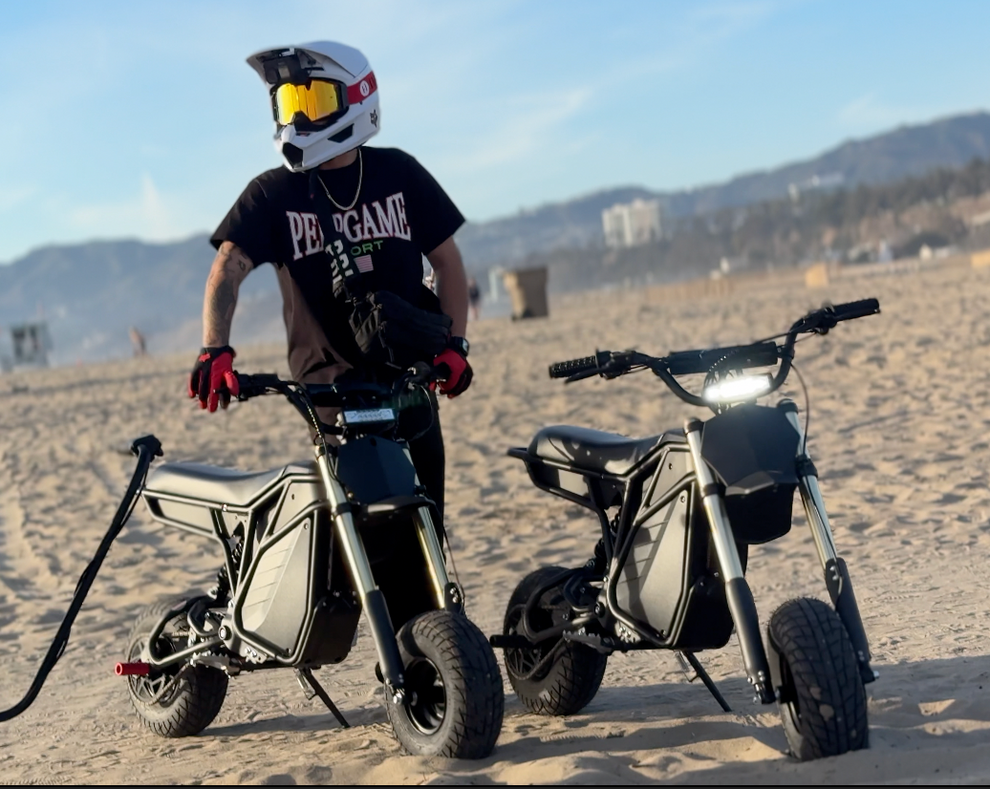 Electro & Co Rizzler Sport – Ronster Rides
