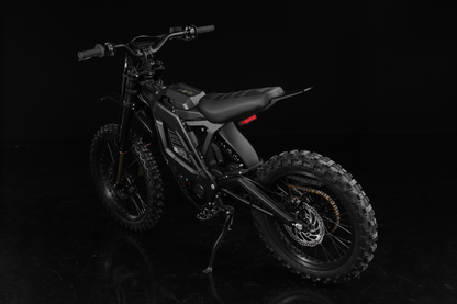 E-Ride Pro SR