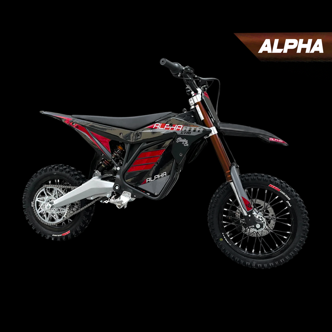 Ronster Rides Person Fast Electric Pit Bike – Ronster Rides