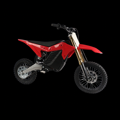 RTR Electric Mini Dirt Bike – Ronster Rides