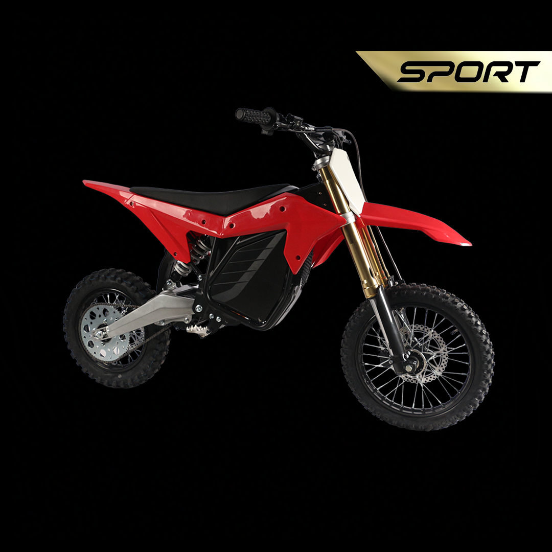 RTR Electric Mini Dirt Bike – Ronster Rides